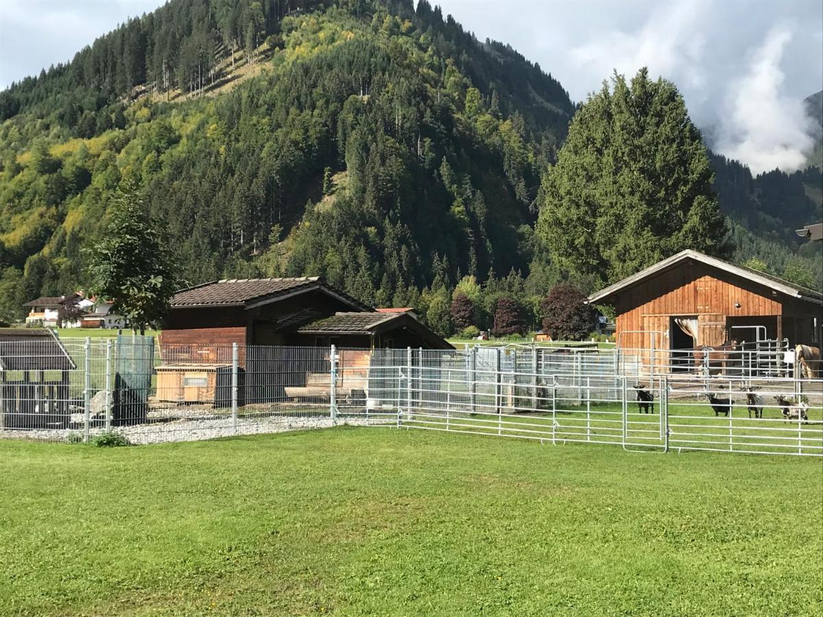 شقة Pony-Ziegen-Hasen-Ranch بيشلباخ المظهر الخارجي الصورة