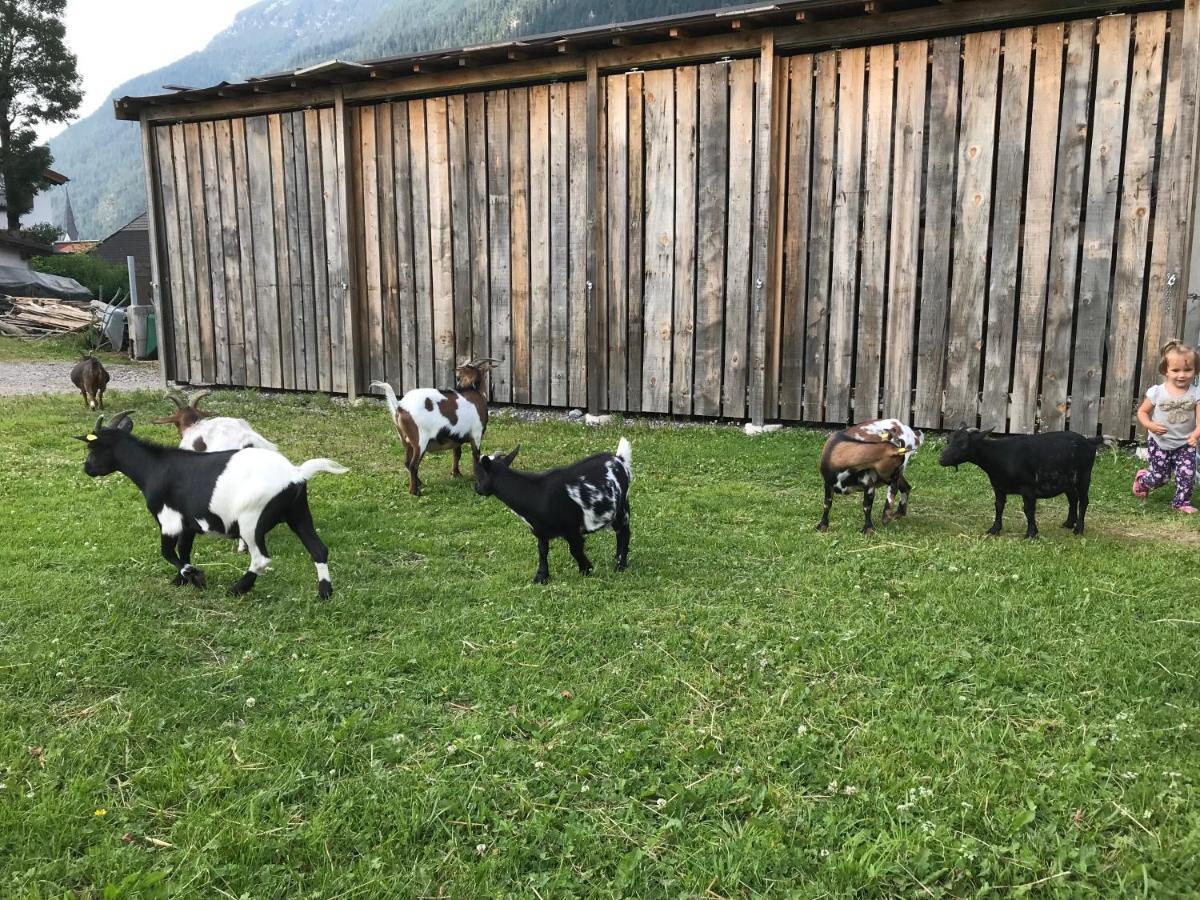 شقة Pony-Ziegen-Hasen-Ranch بيشلباخ المظهر الخارجي الصورة